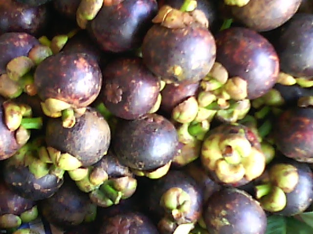 Marché de gros, M'saken, Gouvernorat de Sousse, TN