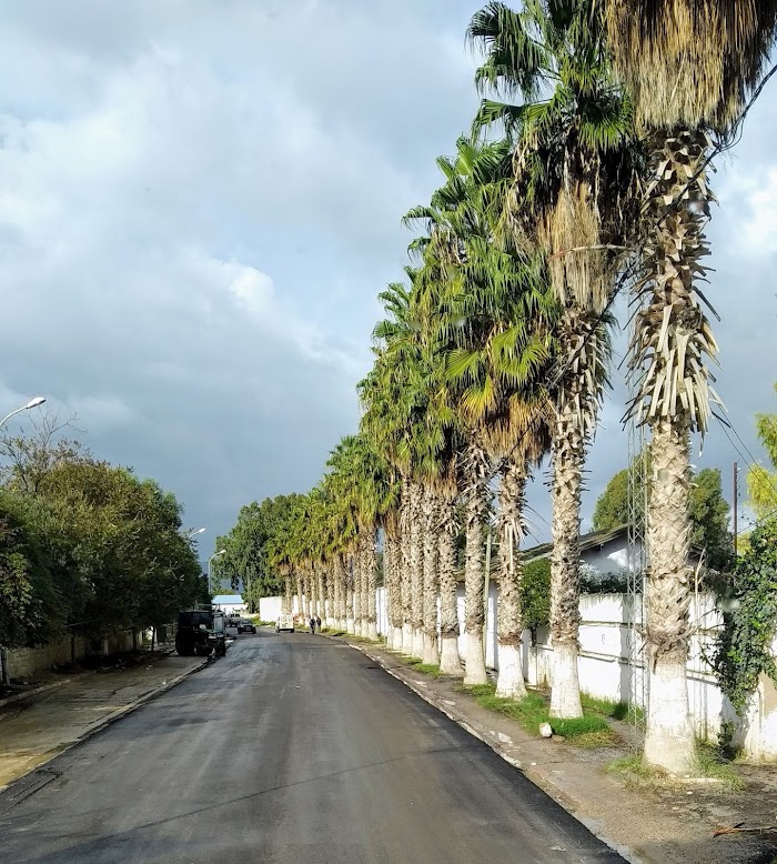 Mateur, Gouvernorat de Bizerte, TN