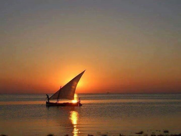 Midoun Center, Djerba Midun, Medenine, TN