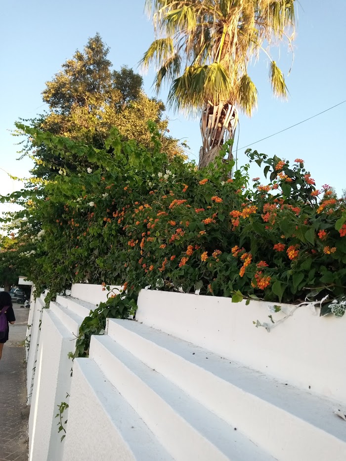 Mille et une fleurs, Bizerte, Gouvernorat de Bizerte, TN