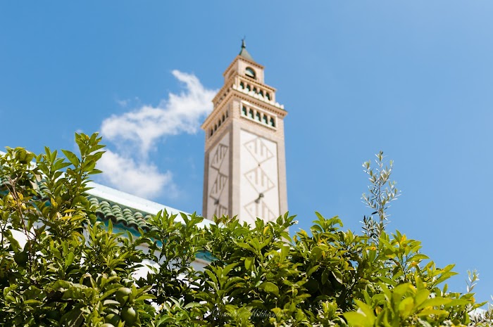 Mosquée Sidi Achour, Nabeul‎, Nabeul, TN