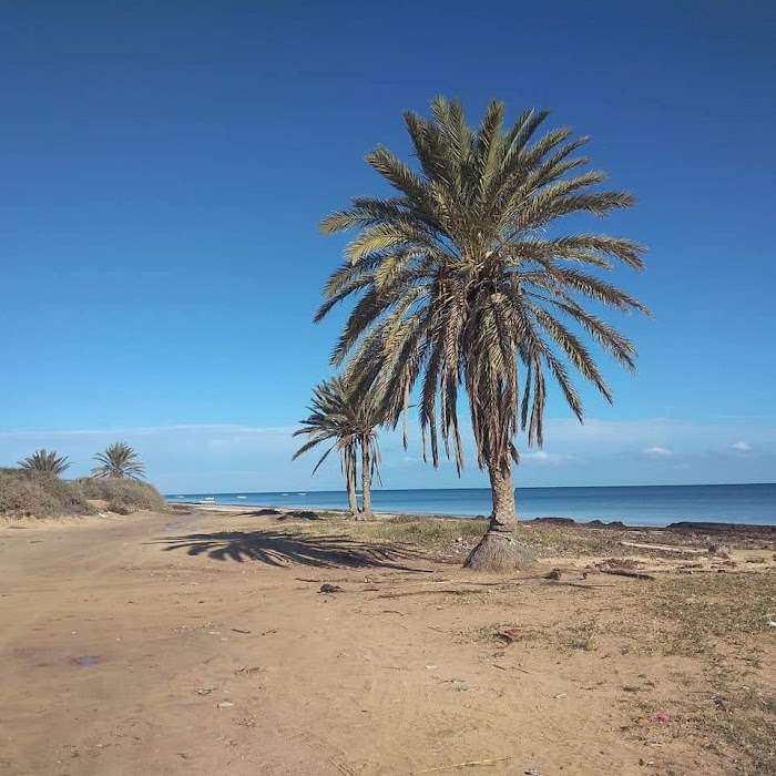 Mosquée Souihel, C117, Zarzis, Medenine, TN