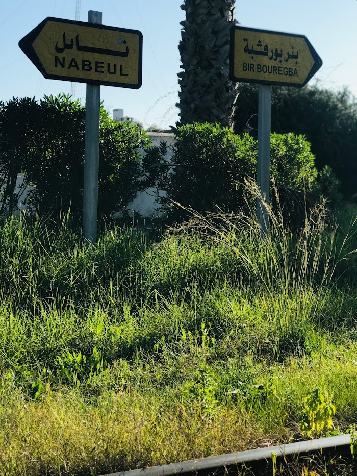 Mrezka, Route Touristique, Nabeul‎, Nabeul, TN