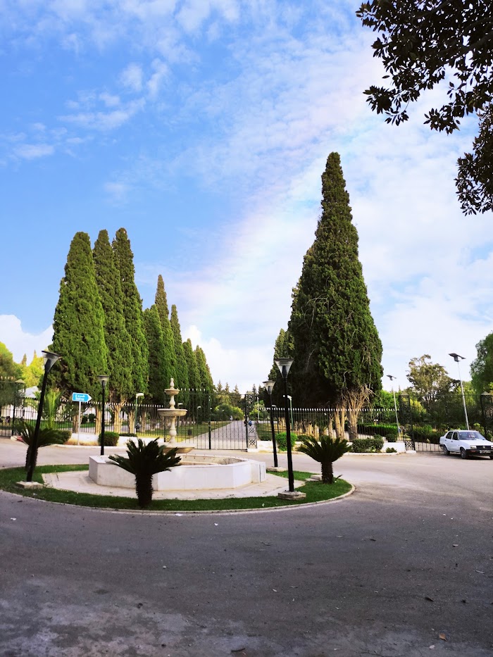Municipalité de la Marsa, Rue Abdelhafidh El Mekki, 11, Site archéologique de Carthage, Tunis, TN