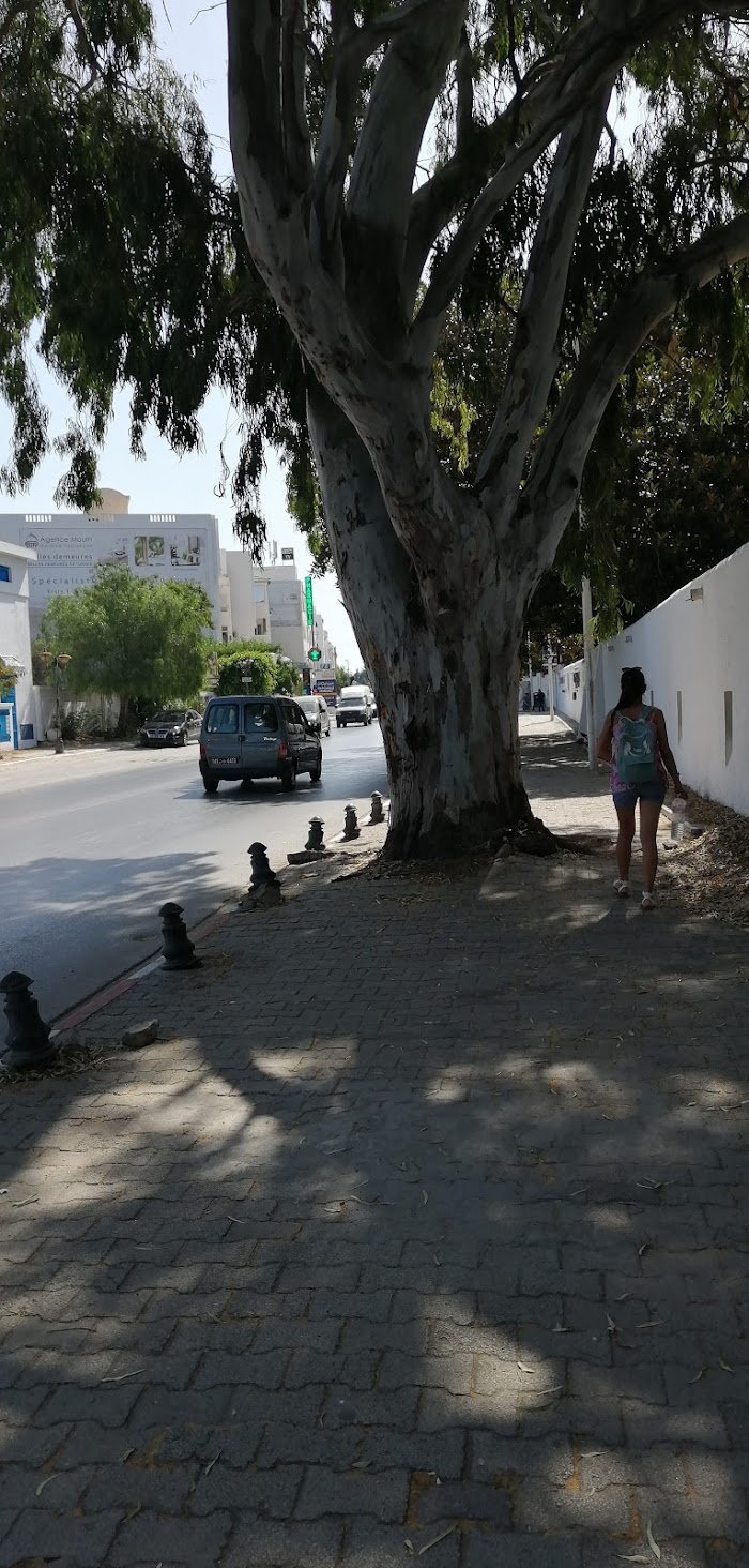 Ô'PUB, C 28, Hammamet Sud, Nabeul, TN