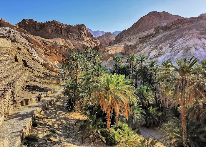 Oasis De Chebika, As-Sabikah, Tozeur, TN
