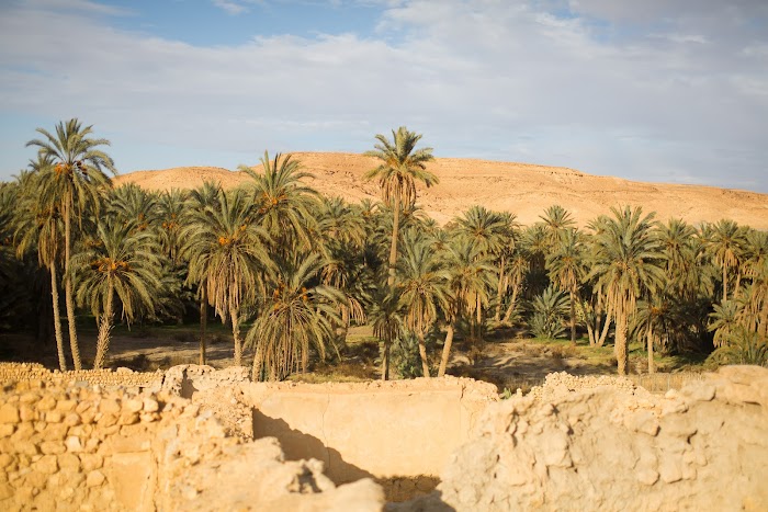 Oasis De Mides, Mides, Tozeur, TN