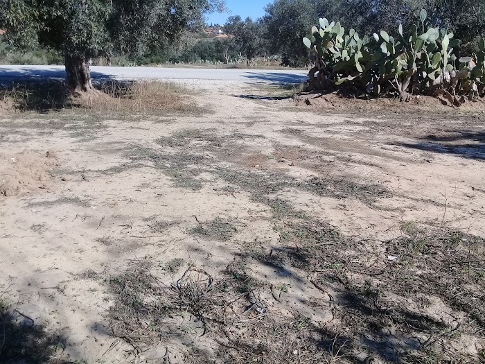 Oued la Soued, Nabeul, TN