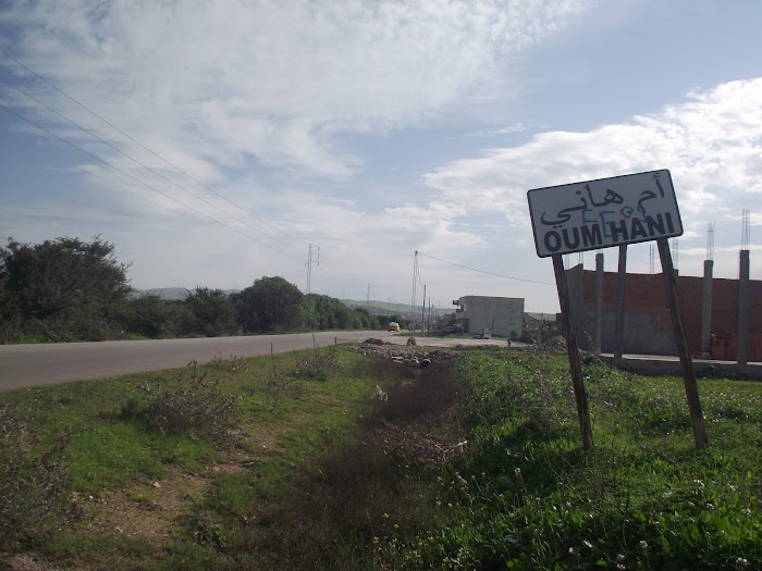 Oum Heni, Bizerte, TN