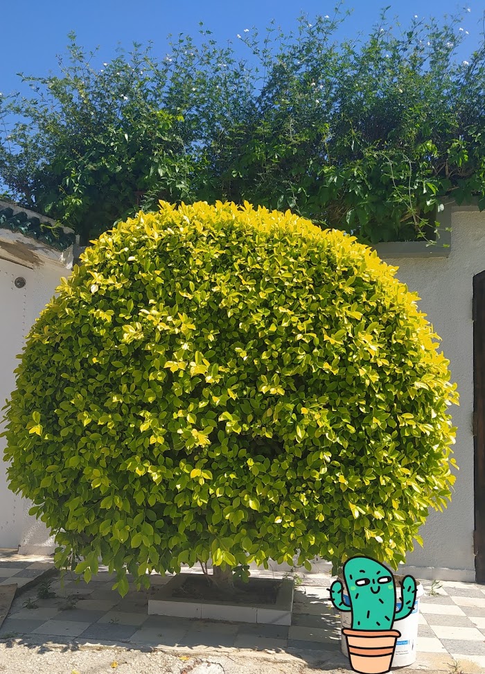 Parque Cité Riadh 5, Sousse, Gouvernorat de Sousse, TN