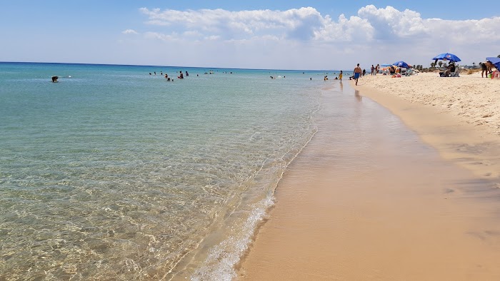 Plage excellence بحر الامتياز, Av. du Dr. Mohamed Taoufik Daghfous, 37, Nabeul‎, Nabeul, TN