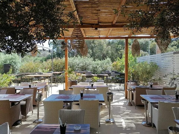 Polpo Gammarth, Gammarth, Tunis, TN