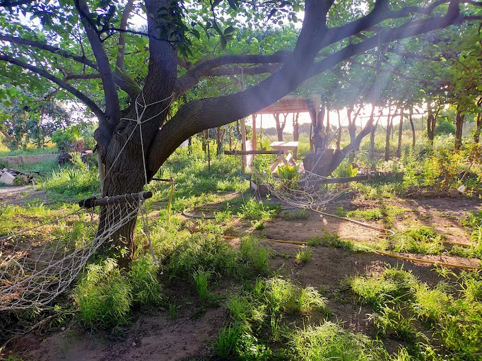 Rafrafekopark, Rue arrayahine, Rafraf, Gouvernorat de Bizerte, TN