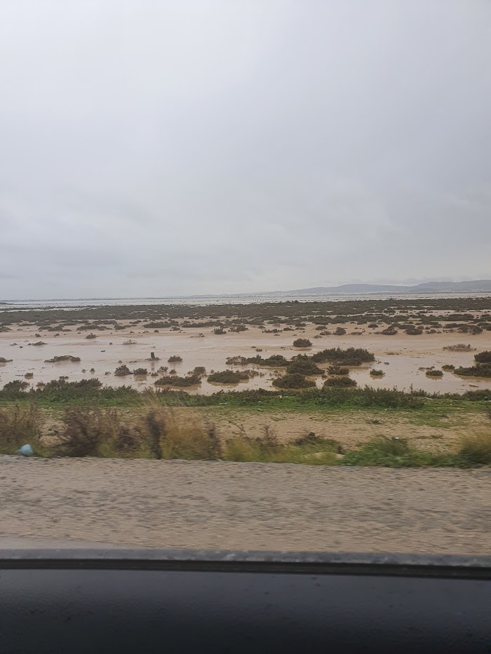 Raoued, Gouvernorat de l'Ariana, TN