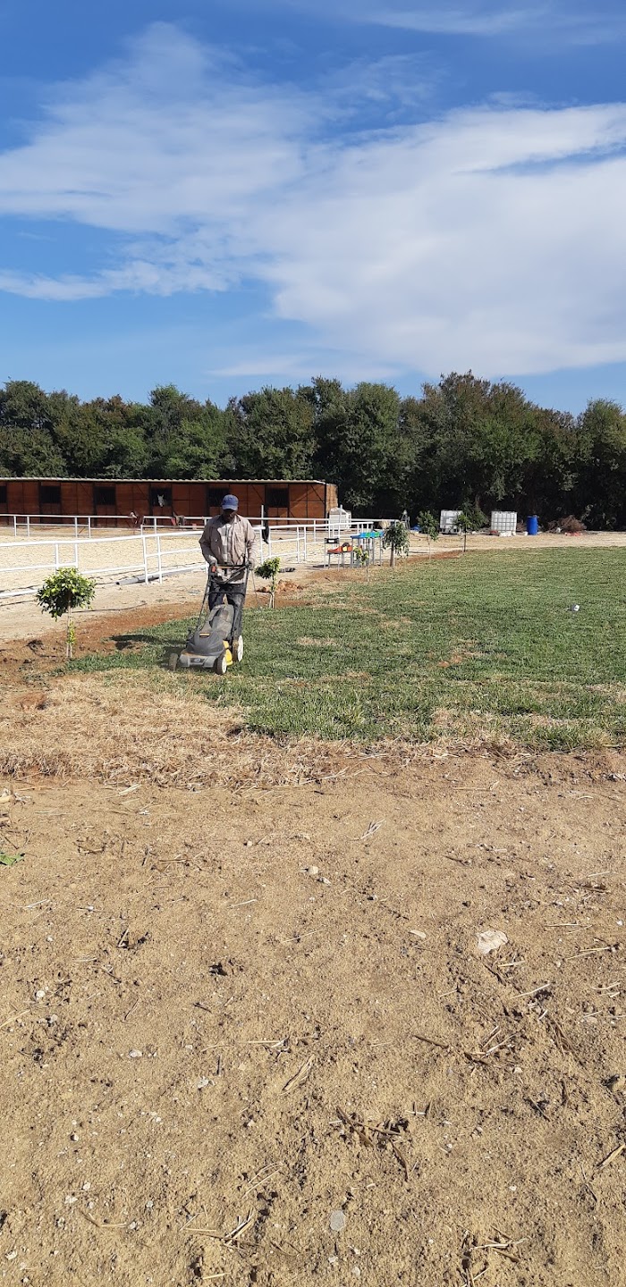 Rebelle Equestrian Club نادي الفروسية بفوشانة, Fouchana, Ben Arous, TN