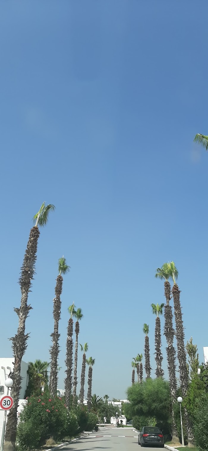 Residence Les Pins, Rue des Palmiers, Site archéologique de Carthage, Tunis, TN