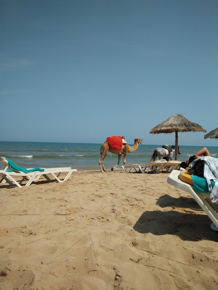 Restaurant Bord de Mer COCONUT, Gammarth, Tunis, TN