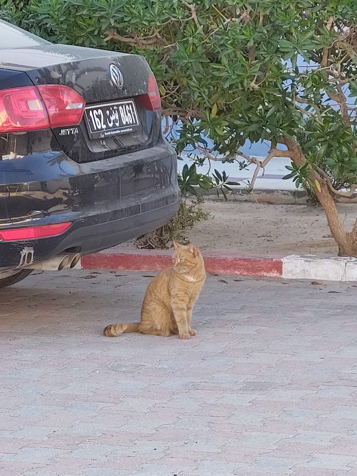 SEREPT, Sidi Mansour, Sfax, TN