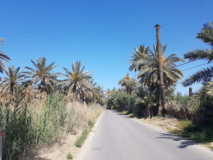 Sanini an Nahal, Gabes, TN