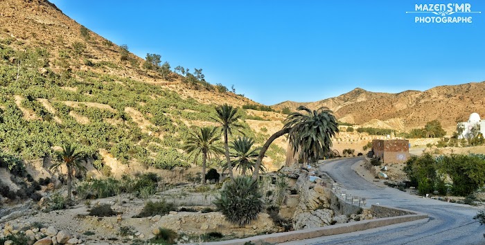 Sened, Gouvernorat de Gafsa, TN