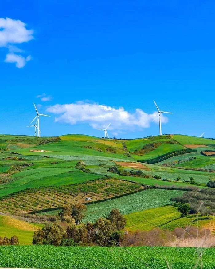 Sidi Ali Chebab, Gouvernorat de Bizerte, TN