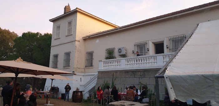 Smvda Domaine Neferis, Khanguet El Hojjej, Nabeul, TN