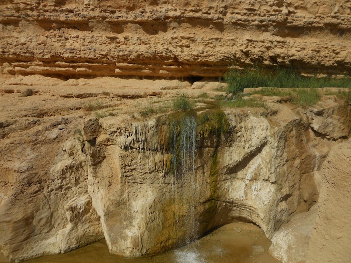 Tamaghza Golden Canyon, Tozeur, TN