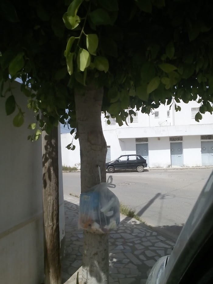 Téniour, Sfax, Sfax, TN