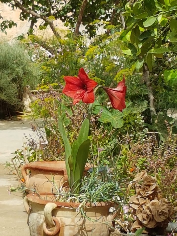Tombar, Kébili, TN
