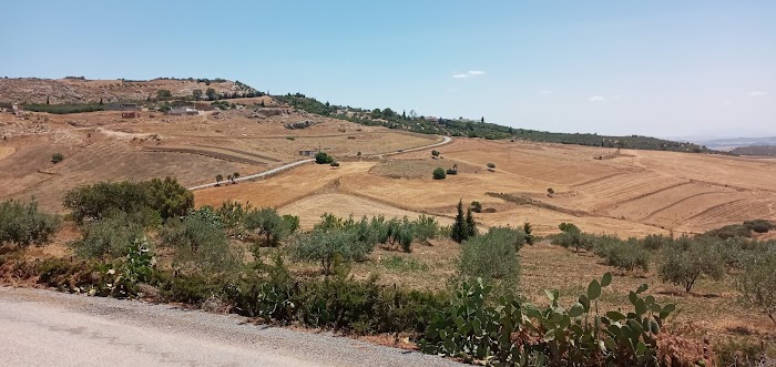 Toukaber, Béja, TN