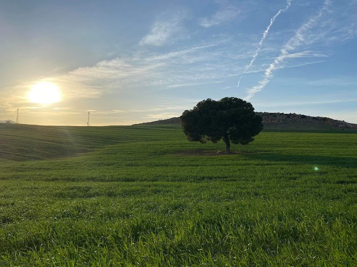 Tourief, Gouvernorat du Kef, TN