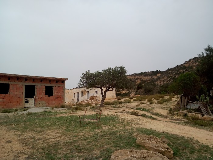 Tunisia Tourism Branch, Av. Mrezga, Mrezga, Nabeul, TN