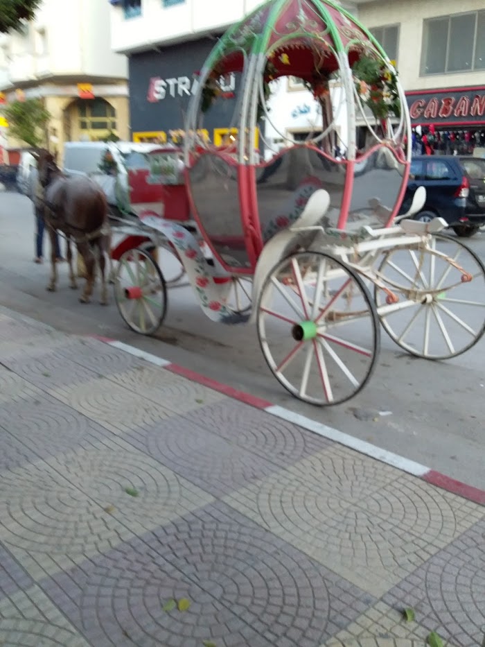 UBCI Nabeul, RR28, Nabeul‎, Nabeul, TN