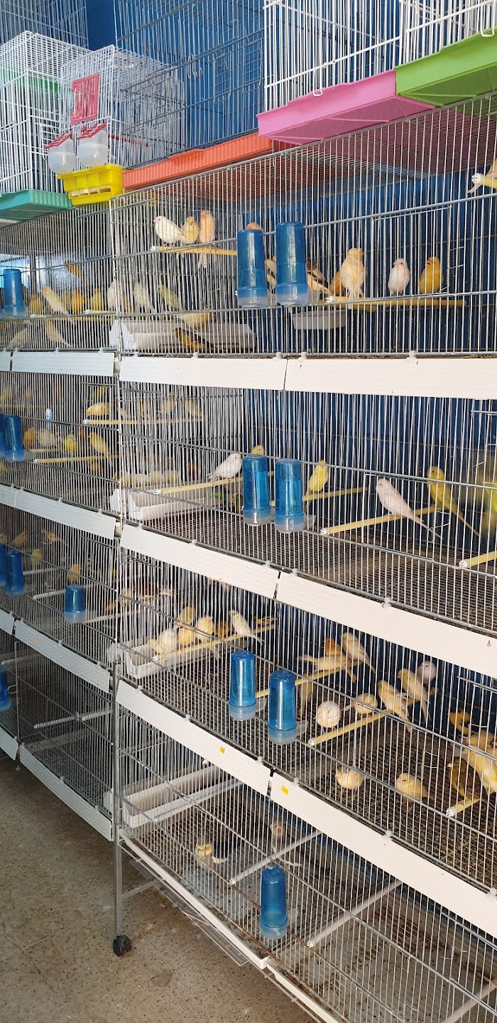 Z'ANIMALIA DJERBA, Houmt Souk, Médenine, TN