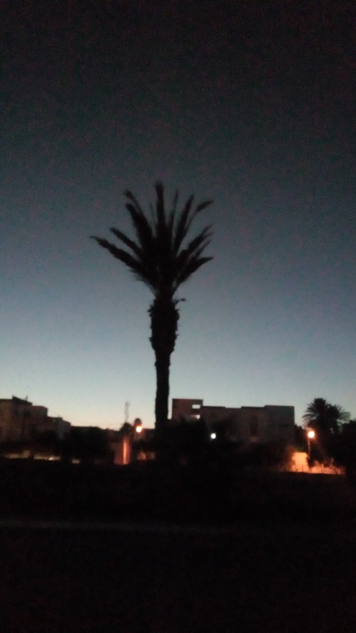 Zone Industrielle, Monastir, Monastir, TN