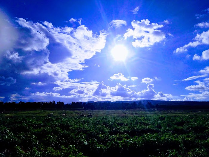 Zouaouine, Gouvernorat de Bizerte, TN