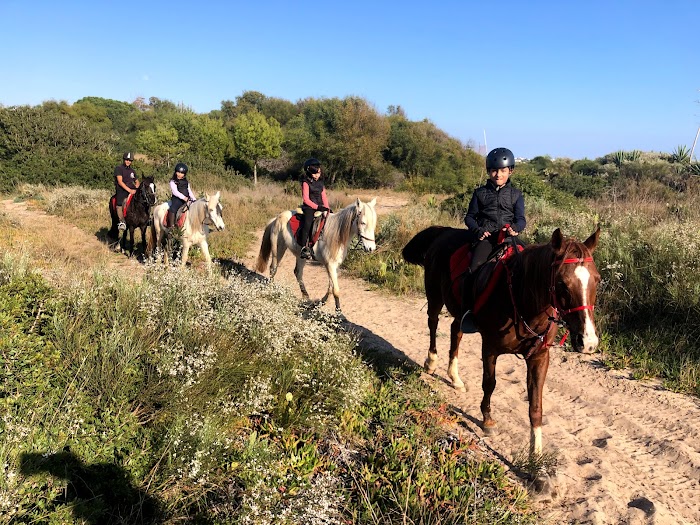 club equus hammamet, Bir Bou Rekba, Nabeul, TN