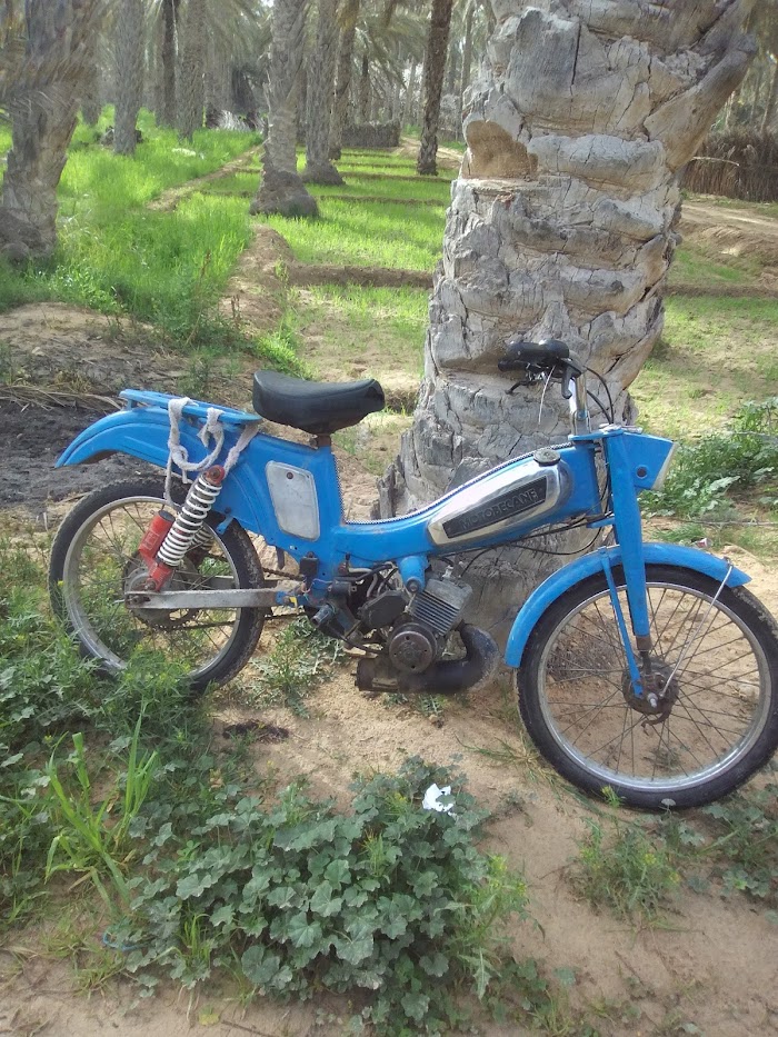 el Msaid, Kébili, TN