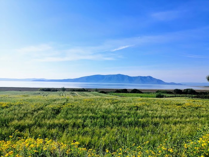 oued Zitoun, Oued Zitoun, Gouvernorat de Bizerte, TN