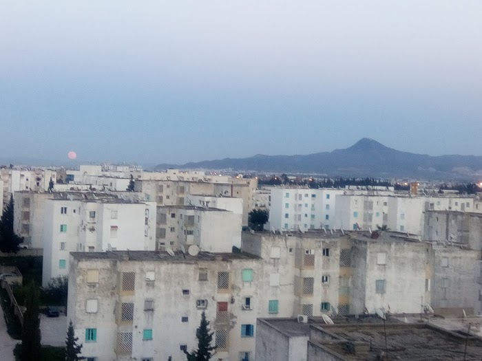 PHARMACIES OUVERTES EL MOUROUJ 3 BEN AROUS TUNISIE visual data 6