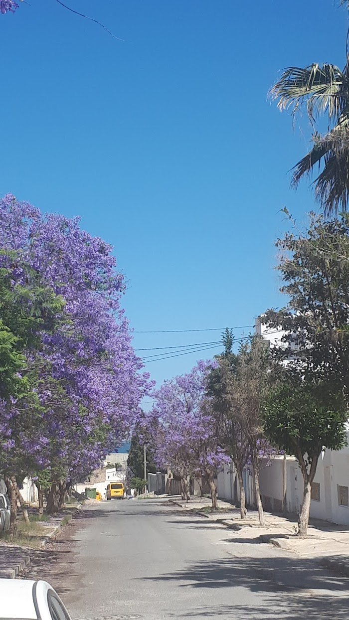 الديوان الوطني للزيت, Sousse, Gouvernorat de Sousse, TN