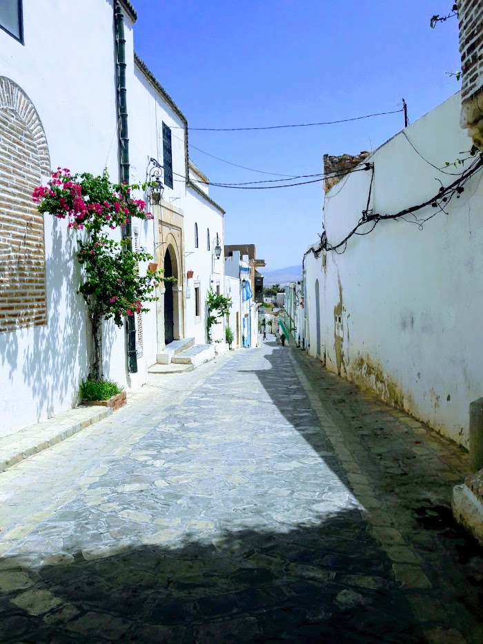 ضريح سيدي علي عزوز, Zaghouan, Gouvernorat de Zaghouan, TN