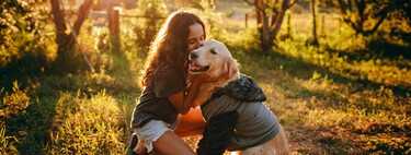 Golden Retriever et six autres races de chiens idéales pour que les enfants rendent leur enfance plus heureuse et plus adaptée aux chiens 