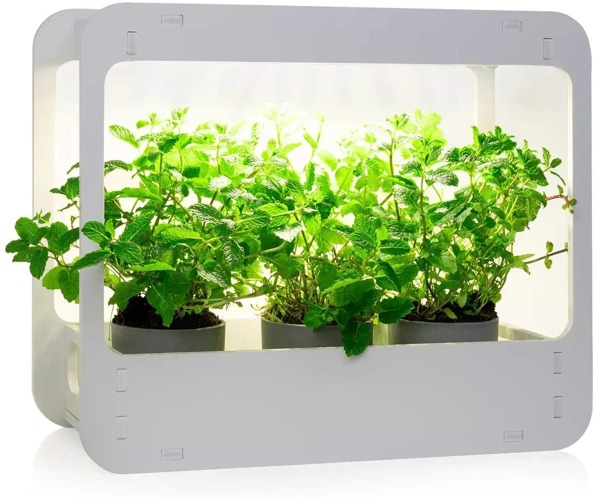 NewSafe - Jardin d'intérieur domestique, mini jardinière LED d'intérieur, jardin botanique et herbes intelligent, lampe de cuisine ou de bureau LED