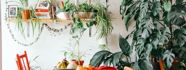 Six accessoires et solutions simples pour arroser les plantes pendant l'été 