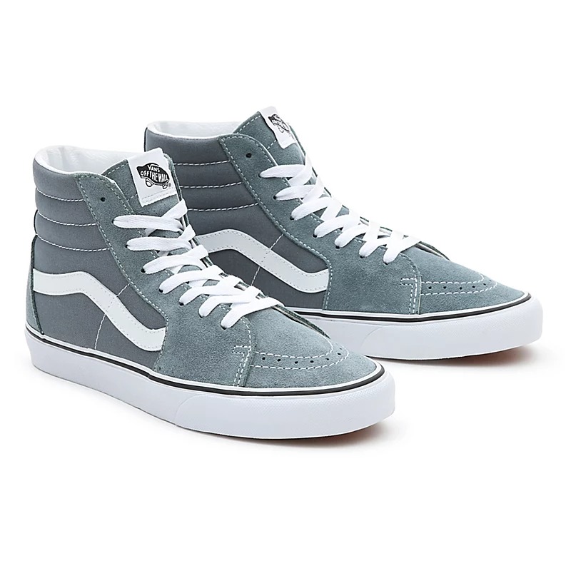 Chaussures Color Theory SK8-HI