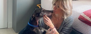 Pourquoi Suzanne Griso désapprouve la loi sur le bien-être animal : Controverse sur les chiens de chasse et autres problèmes liés à la nouvelle loi