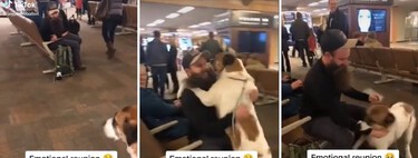 La rencontre émotionnelle de ce chien avec son propriétaire a fait pleurer la moitié de l'aéroport  