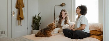 Huit aspirateurs parfaits si vous avez des animaux domestiques à la maison 