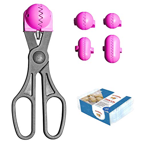 Machine à Croquettes Polyvalente Rose - 4 Moules à Pâte Interchangeables + Pack Crisper - 100% Espagnol : Breveté et Fabriqué en Espagne, 1 Ustensile + 20 Plateaux
